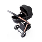Black Rosé - CAX00558
