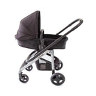 Essential Black - IMP01934