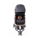 Black Copper - CAX00557