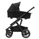 Essential Black - IMP02369