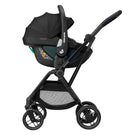 Essential Black - CAX00786