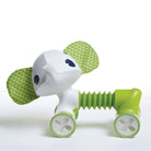 Samuel - IMP01853