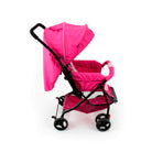 Rosa - IMP01340