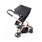 Black Rosé - CAX00558