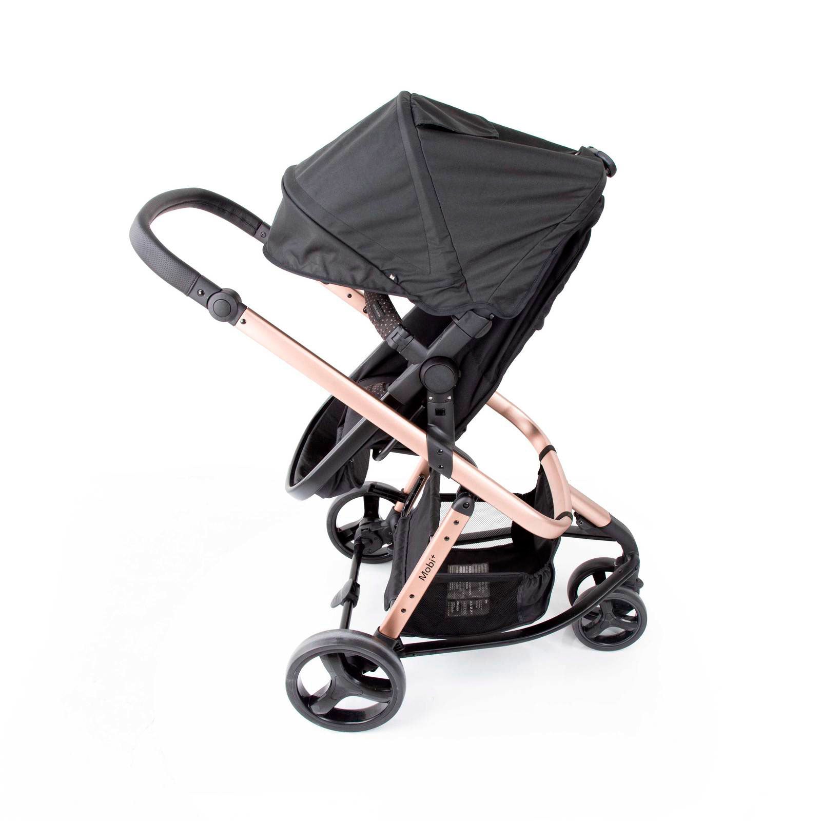 Black Rosé - CAX00558