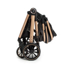 Preto Bronze - IMP02450