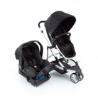 Black Classic - CAX00464