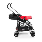 Red - CAX90273