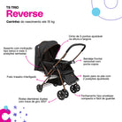 Preto Bronze
