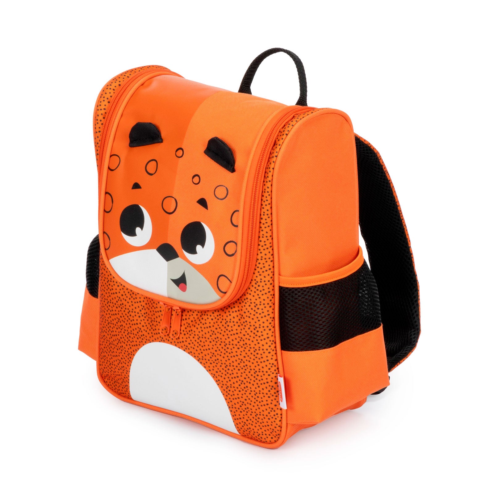 Safari Jaguar - IMP02558