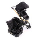 Black Gold - CAX00486