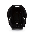 Black Rosé - CAX00406