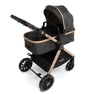 Preto Bronze - CAX00900
